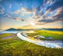 순천만습지 /사진제공=환경부