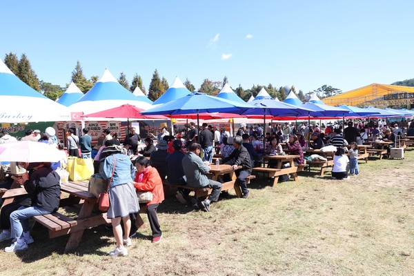 2025 남사당 바우덕이 축제  /사진제공=안성시