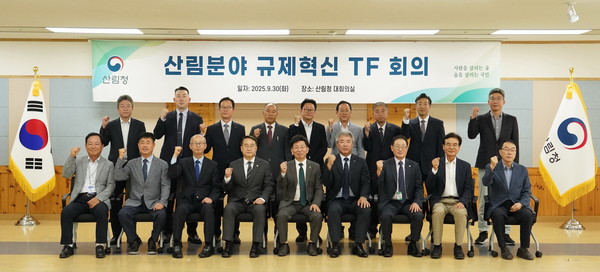 산림청이 산림분야 규제혁신 TF회의를 개최했다. /사진제공=산림청