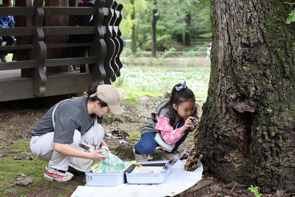 키즈탐험대 참여한 한 어린이가 나무를 관찰하고 있다. /사진제공=국립수목원