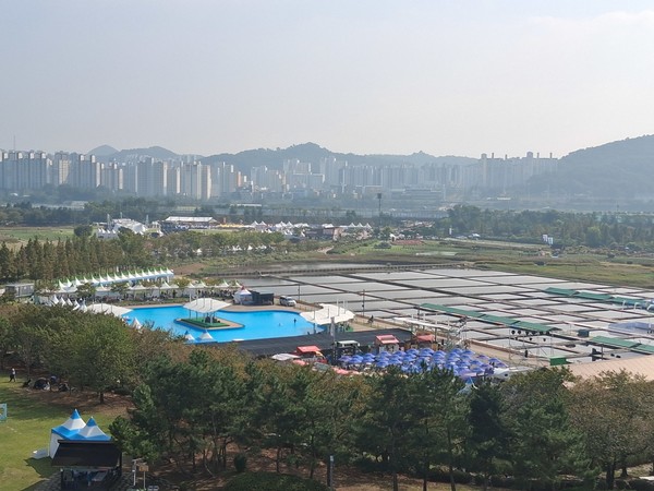 갯골축제장 전경 /사진=조원모 기자