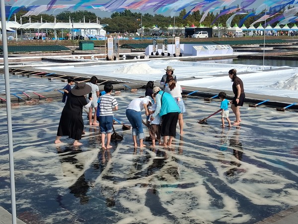 염전 체험 /사진=조원모 기자