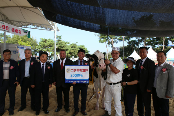 제11회 이천시 홀스타인 품평회 성황리에 개최 /사진제공=이천시
