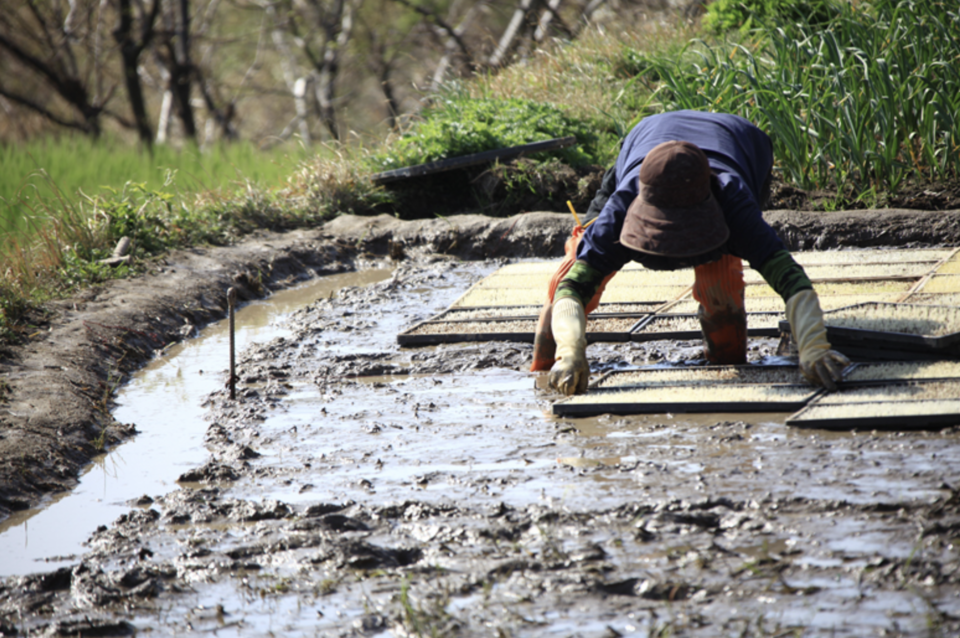 공익법률센터 농본(이하 농본)은 농촌의 난개발 및 환경오염을 예방하기 위한 방안으로 환경정책위원회 권한 강화를 제시하고, 관련 조례의 제정.개정 방향을 제안하는 정책브리핑 14호를 발행했다. /사진제공=명소IMC