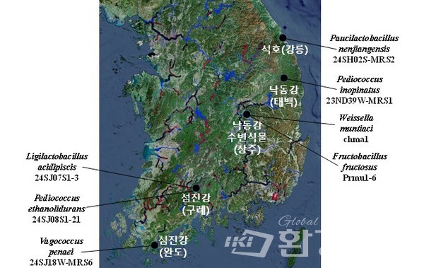 신규 국내 미기록 유산균 7종의 분리 위치 /자료제공=기후부