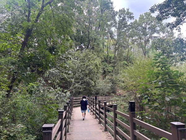 원주 중앙근린공원 숲길둘레길- 강원 원주시 무실동 1914 /사진제공=산림청