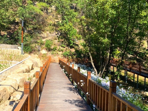 춘천 산수길 - 강원 춘천시 신북읍 발산리 산32-1(국립춘천숲체원) / 사진제공=산림청