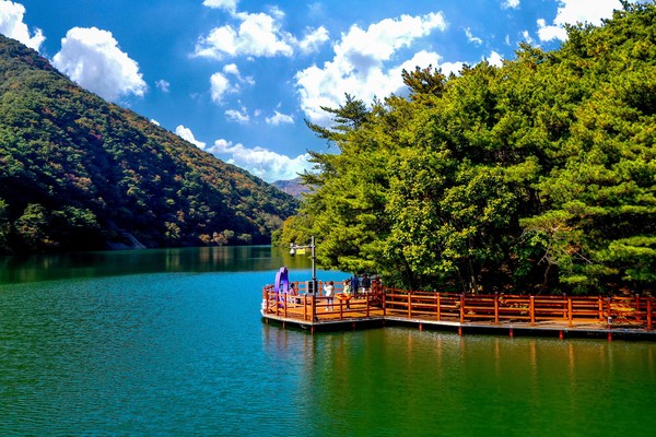 제천 의림지한방치유숲길 - 충청북도 제천시 송학면 도화리 992-5 /사진제공=산림청