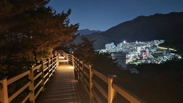 부산 구포 무장애 숲길 - 부산광역시 북구 구포동 779-3 /사진제공=산림청