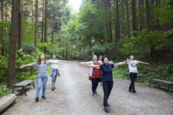 산림치유 프로그램 비움숲(Forest Healing Meditation) 운영 사진 /사진제공=한국산림복지진흥원