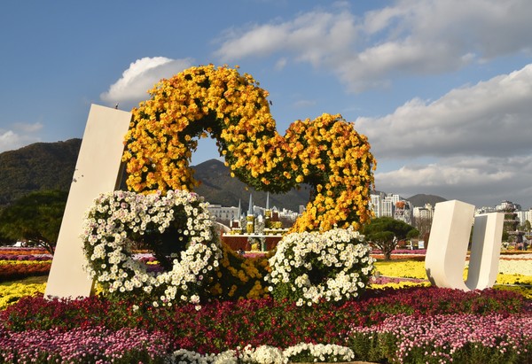 시는 10월24일부터 11월9일까지 제21회 '양산국화축제'를 개최한다고 전했다. /사진제공=양산시