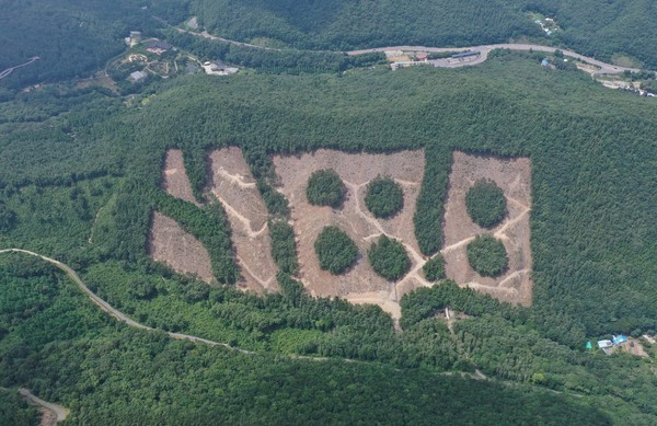 친환경적 목재 수확 우수사례 평가에서 최우수상으로 선정된 친환경 벌채 현장 /사진제공=충청남도