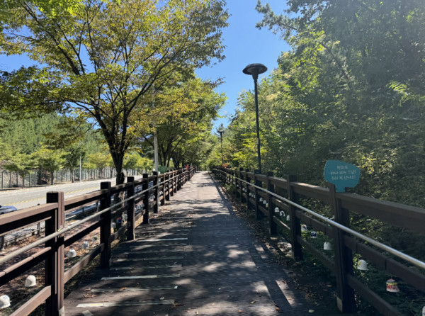 헤이리 무장애 노을숲길 /사진제공=파주도시관광공사