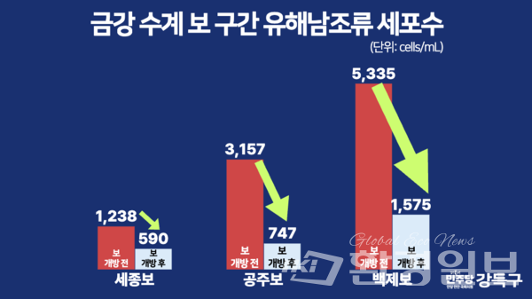 금강 수계 보 구간 유해남조류 세포수 /자료제공=강득구 의원실