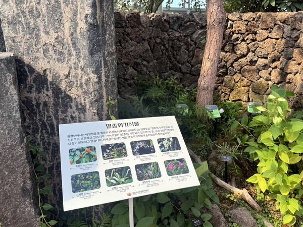 한국섬온실 멸종위기식물 /사진=이주예 학생기자