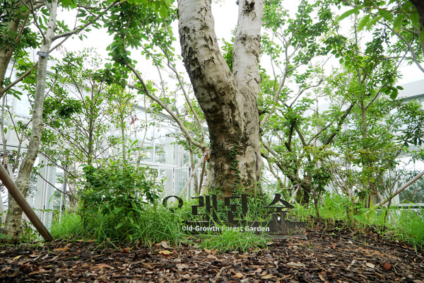 한국섬온실 / 사진제공 = 국립호남권생물자원관