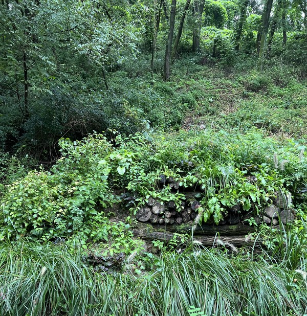 후글컬쳐 /사진=백성희 학생기자