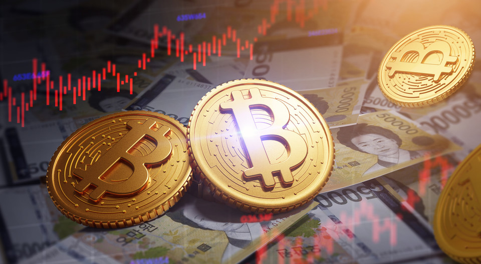 유동수 의원은 “원화 스테이블코인 도입으로 인한 위험요인에 대한 법적·제도적 관리장치가 금융위원회의 디지털자산 2단계 입법안에 충분히 반영돼야 한다”며 밝혔다. /사진=환경일보DB