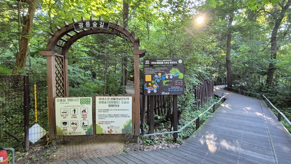 광릉숲 정원벨트 /사진제공=산림청