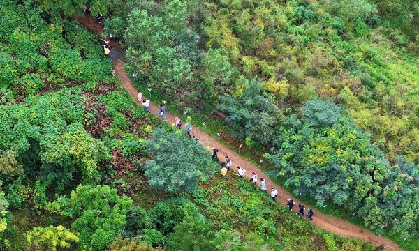 광주시, 산림박람회 연계 건강 걷기 행사 성황 /사진제공=광주시