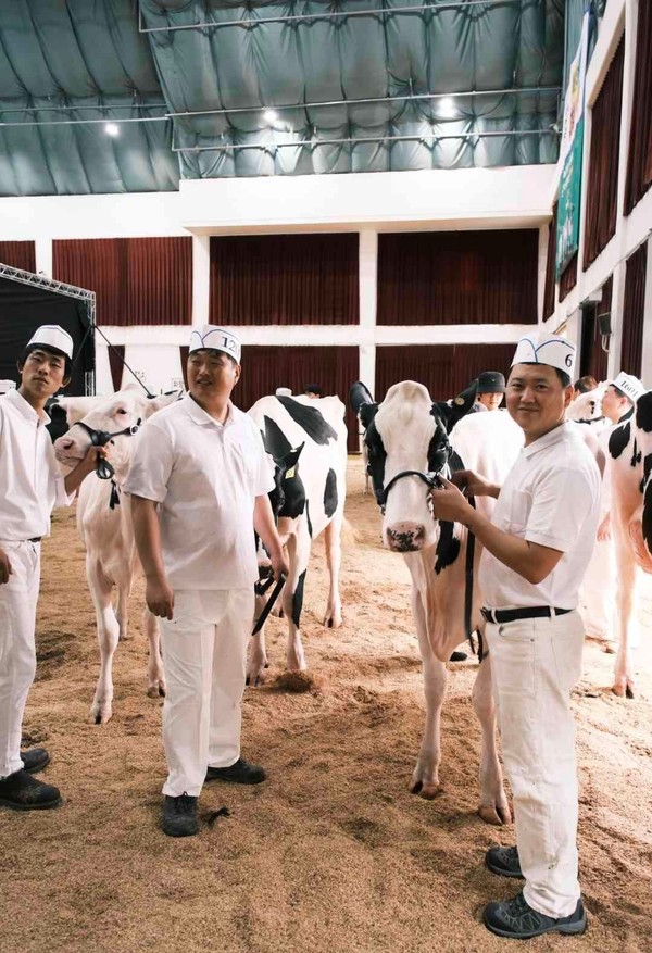 여주시, '2025 한국 홀스타인 품평회'에서 8개 부문 수상 쾌거. /사진제공=여주시