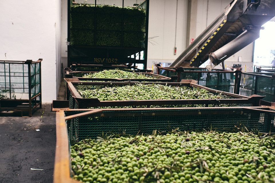 aT가 운영하는 ‘공공급식통합플랫폼(eaT)’의 플랫폼에 등록된 공급업체 중 식재료 원산지 위반, 식품 관련 법률 위반 등으로 행정처분을 받은 사례가 2022년부터 2024년 8월까지 총 376건에 달했다. /사진=환경일보DB