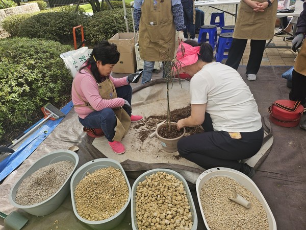 찾아가는 반려식물 클리닉에서 식물전문가들이 분갈이 하는 모습 /사진제공=동대문구