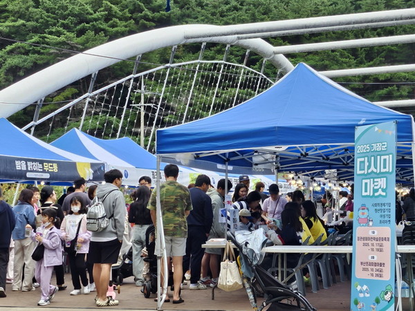 군은 10월17~19일까지 '2025 기장군 다시마마켓' 행사를 진행했다. /사진제공=기장군 