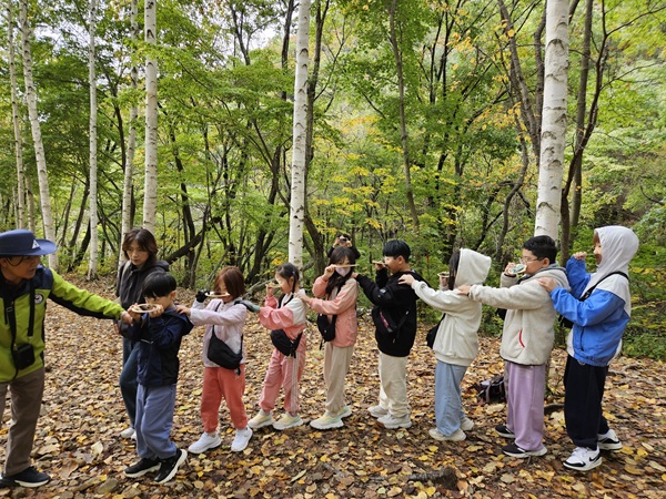 자작나무 숲 바르게 걷기체험에 참여한 영양중앙초 학생들 /사진제공=영양교육지원청