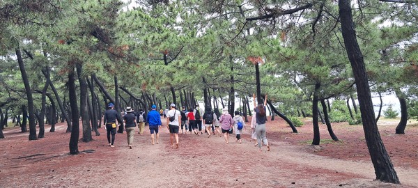 2024년 강릉해변 맨발걷기 축제 현장 /사진제공=강릉시