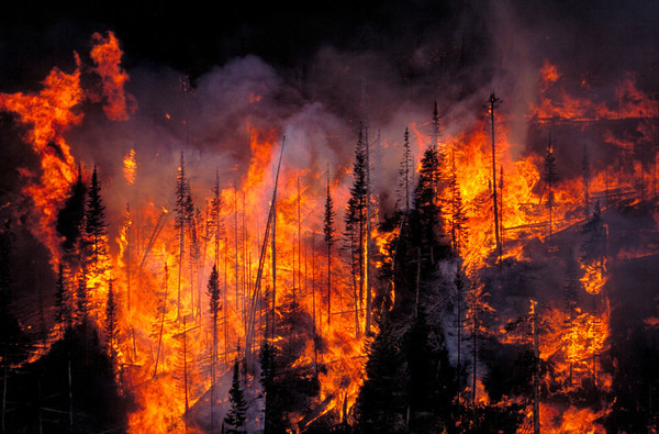 올해 3월 영남을 휩쓴 대형산불 이후, 산림청이 산불 조기 진화를 위해 계획한 드론과 헬기 도입이 난항을 겪고 있는 것으로 나타났다. /사진=환경일보DB