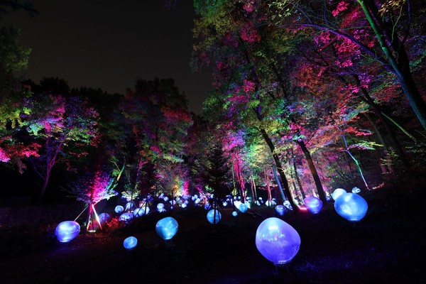 형형색색의 복사꽃 씨앗이 빛나는 도화씨 구간 전경 /사진제공=부천시