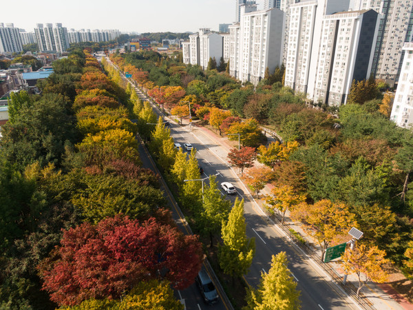 가로수 우수사례로 선정된 평택시 비전동~독곡동 구간(14.5㎞) ‘가로숲터널’ /사진제공=경기도