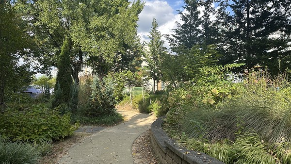 학교숲 분야 우수사례로 선정된 부천시 시온고등학교 학교숲 /사진제공=경기도