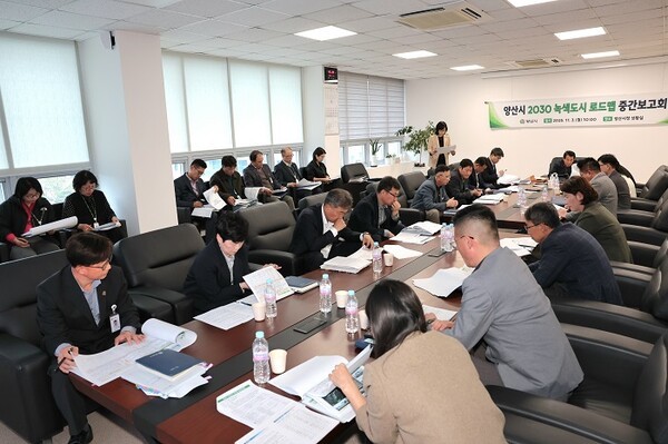 ‘양산시 녹색도시 로드맵 중간보고회' 회의 /사진제공=양산시