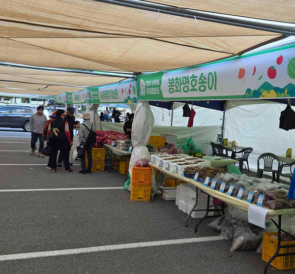 봉화 청량산 농특산물 직거래장터 /사진제공=봉화군