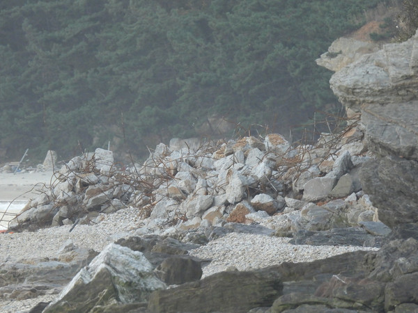 방치되고 있는 옹벽 시멘트 폐기물 /사진제공=인천녹색연합
