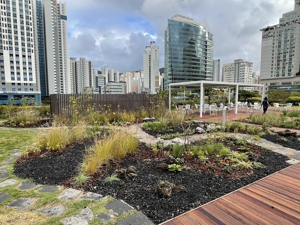 시는 11월5일 시청 옥상정원을 시민에게 개방했다. /사진제공=부산시 