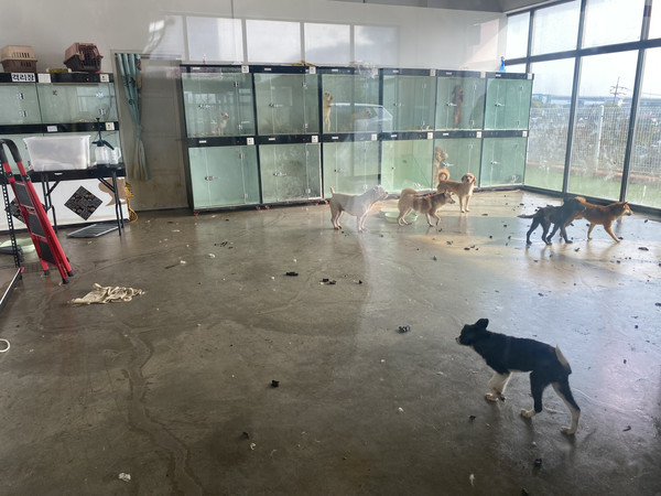 인천 계양구에 신고된 민간동물보호시설 사육 환경 실태 고발사진 /사진제공=동물자유연대