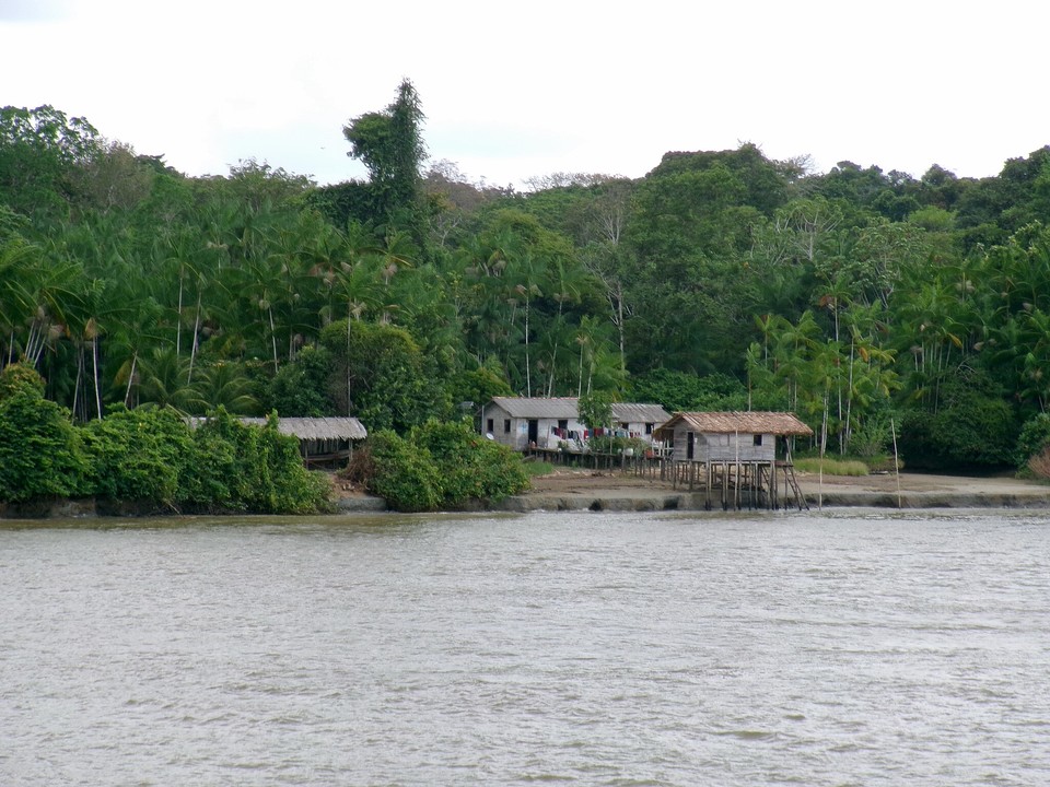 브라질 벨렝 인근 아마존강 유역 /사진제공=WWF