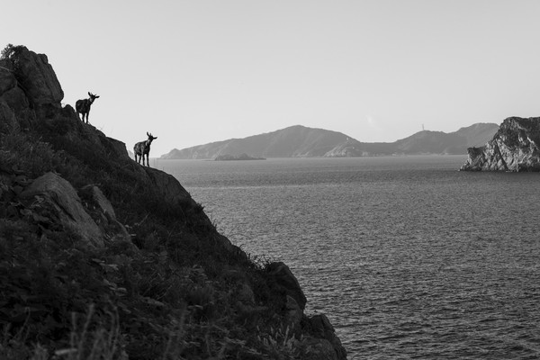 노순택, 흑산, 2025 /사진제공=재단법인 숲과나눔