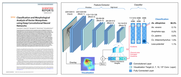 왼쪽부터: ① 2020년 Scientific Reports(네이처 자매지) 게재 논문 – 국내 주요 매개모기 5종에 대해 97% 이상의 분류 정확도 보고 ② 딥러닝 기반 모기 형태 분석 및 종 식별 원리 시각화 – AI가 형태학적 특징을 학습해 종을 식별하는 과정을 세계 최초로 설명한 사례 /자료제공=인천대학교 매개체감염병연구소 융합팀, Park et al., Scientific Reports (2020), doi:10.1038/s41598-020-57875-1