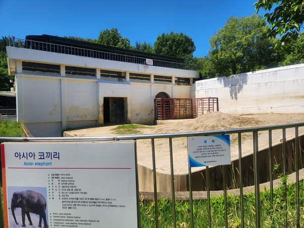 코끼리 방사장 사진 /사진제공=동물자유연대