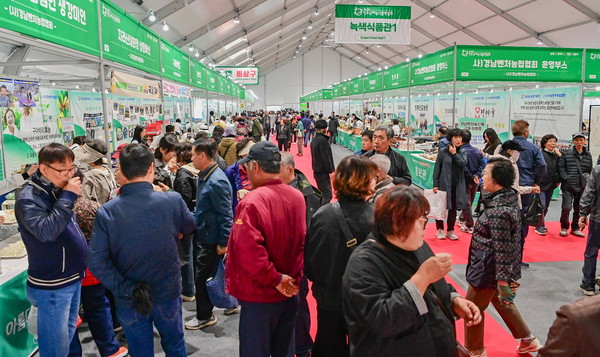 안전한 보행 환경을 조성,관람객 중심의 안전하고 쾌적한 박람회 호평/사진제공=진주시