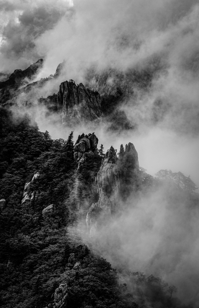 장려상 설악산 운해 속의 설악(신원금 작가) /사진제공=국립공원공단