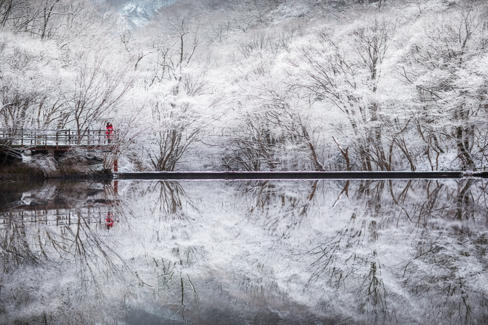 최우수상 내장산 설경 속으로(유계정 작가) /사진제공=국립공원공단