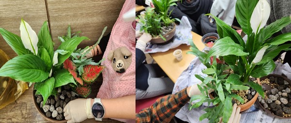 식물은 단순한 인테리어가 아니라 ‘패시브 가습기’ 역할을 한다. /사진=환경일보DB