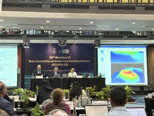 인도네시아 발리에서 개최 중인 제38차 해저지명소위원회(SCUFN, Sub-Committee on Undersea Feature Names)에서 한국이 제안한 해저 지명을 심의하고 있는 모습 /사진제공=해양수산부