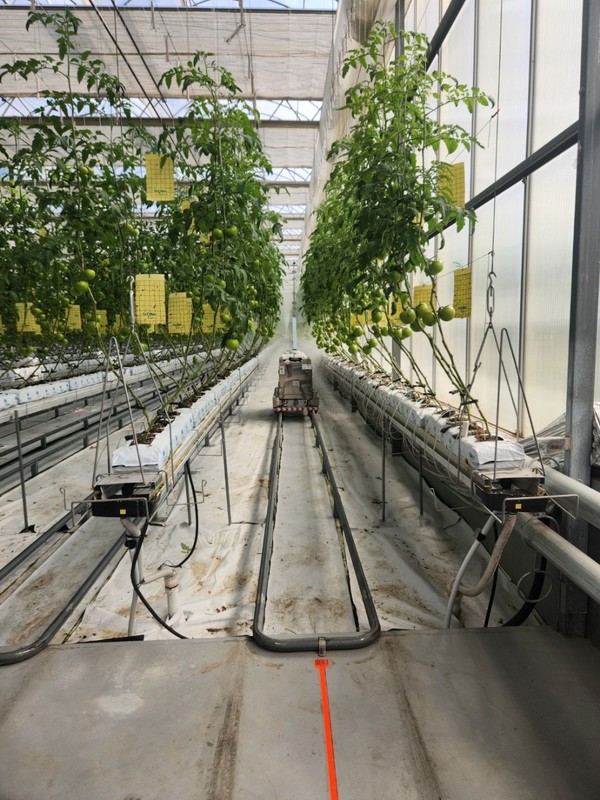 평택시 농업인 안전을 위한 자동방제 로봇 시범사업 추진. /사진제공=평택시