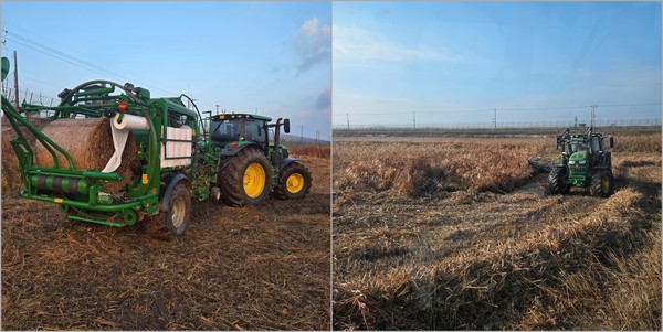 한강하구 자생 갈대 수거작업 /사진제공=경기도